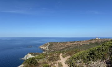 faro